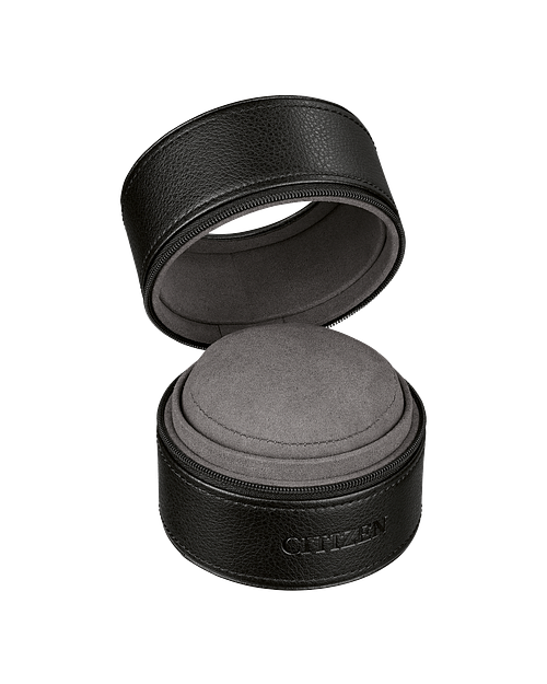 Citizen watch case sale